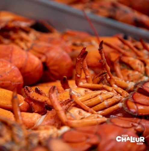 Lobster : Where to find it in the Chaleur Region