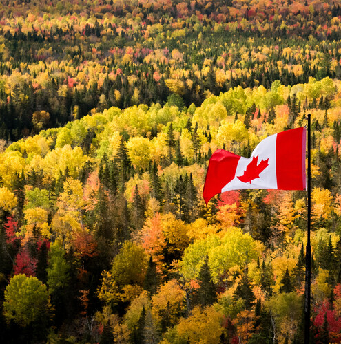 6 experiences to embrace your inner child in the Chaleur Region this Fall