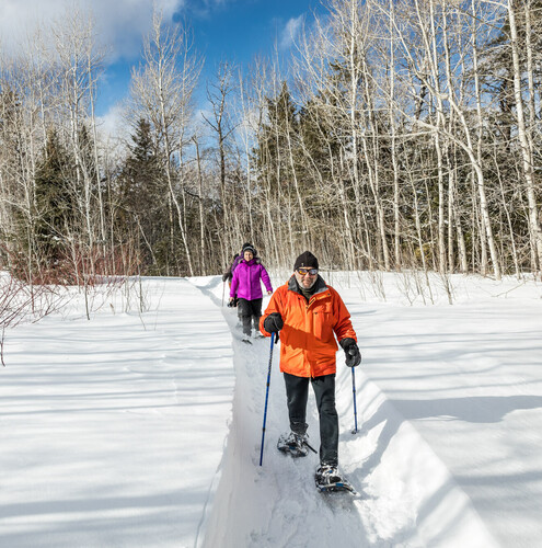 Winter Escapade Idea: snowshoeing, the ultimate winter activity  
